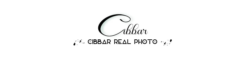 CIBBAR Street Style Fishnet Holes T Shirt See Through Hollow Out Hooded Full Sleeve Crop Top Women Casual Loose Shirt Smock Fall