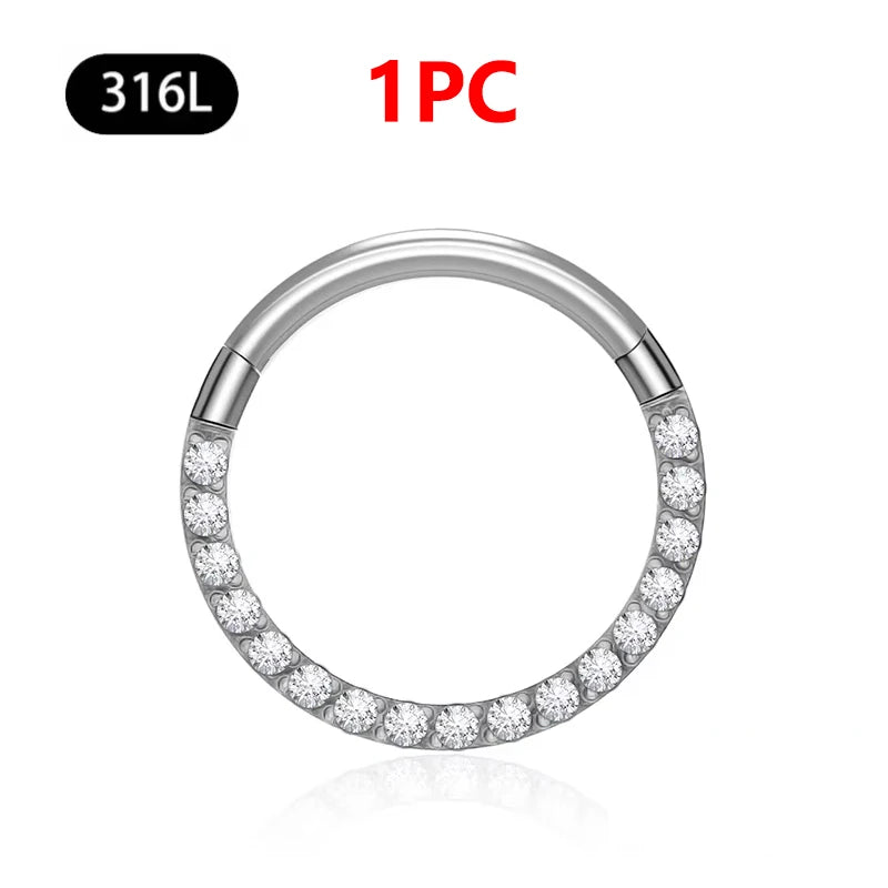 1/10Pc Stainless Steel Nose Ring CZ 16G Hinged Septum Clicker Segment Ear Tragus Cartilage Daith Lip Nose Body Piercing Jewelry 1Pc Silver Zircon 1