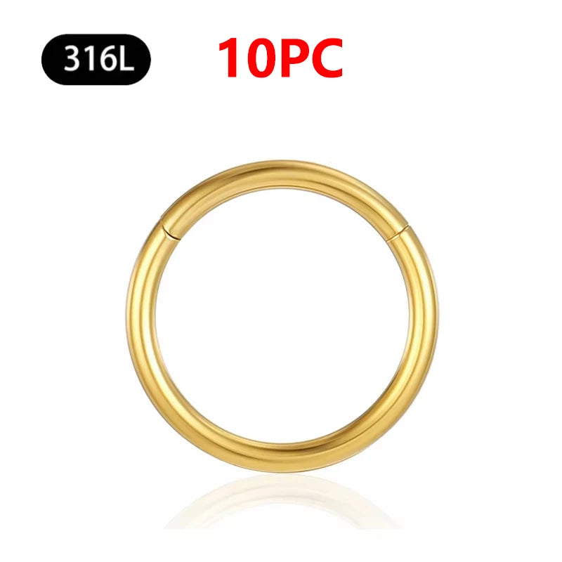1/10Pc Stainless Steel Nose Ring CZ 16G Hinged Septum Clicker Segment Ear Tragus Cartilage Daith Lip Nose Body Piercing Jewelry 10Pc Gold