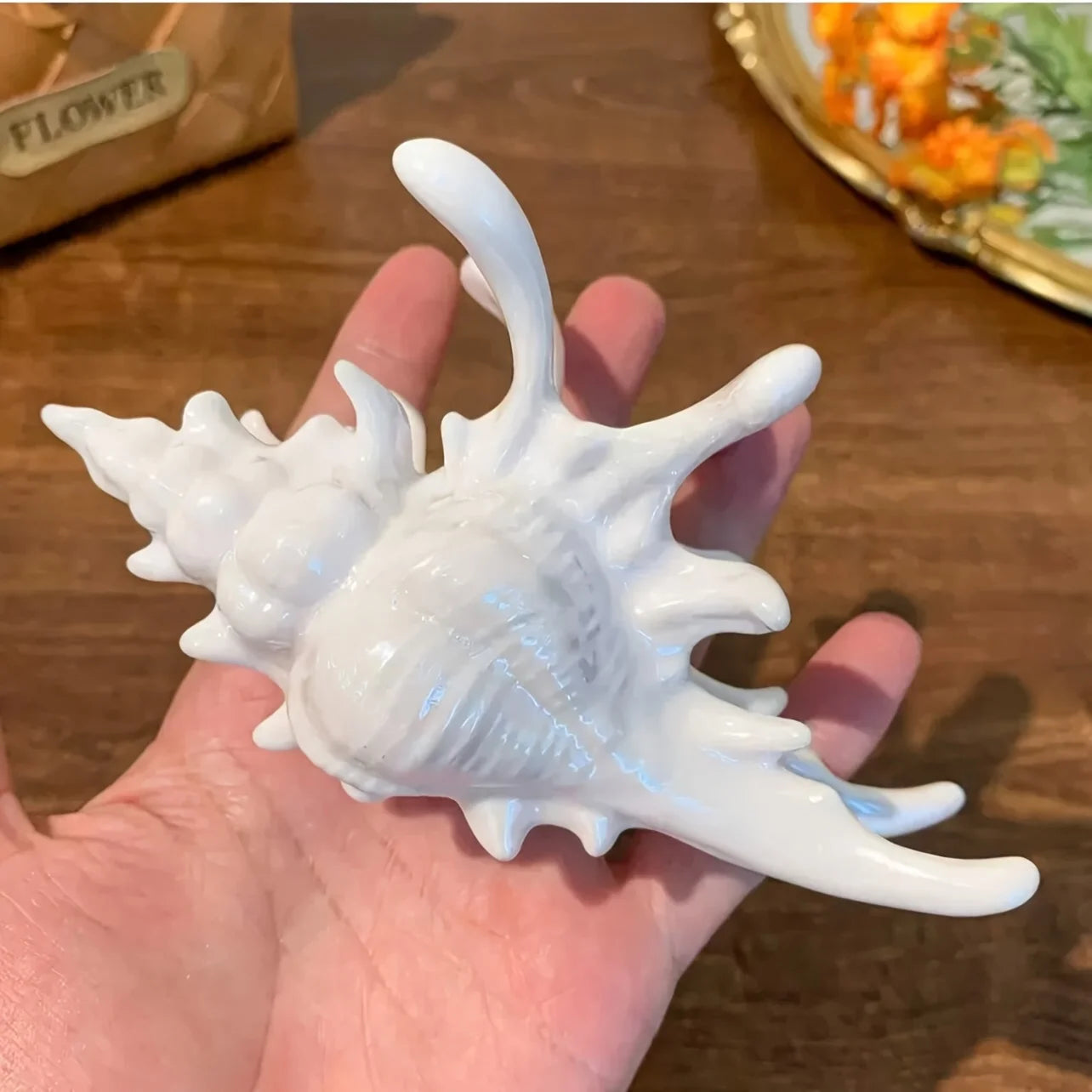 1pc creative design sense conch clip hair clip summer beach style shark clip ocean hair accessories hair grab party conch1 Size fits all CHINA