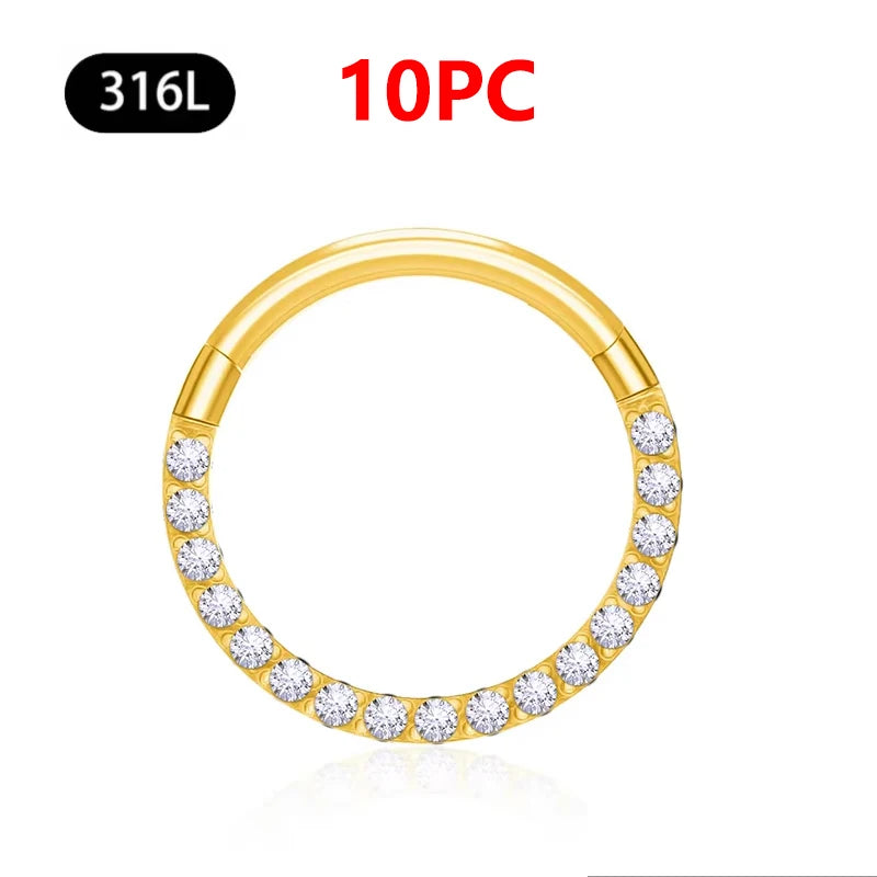 1/10Pc Stainless Steel Nose Ring CZ 16G Hinged Septum Clicker Segment Ear Tragus Cartilage Daith Lip Nose Body Piercing Jewelry 10Pc Gold Zircon 1