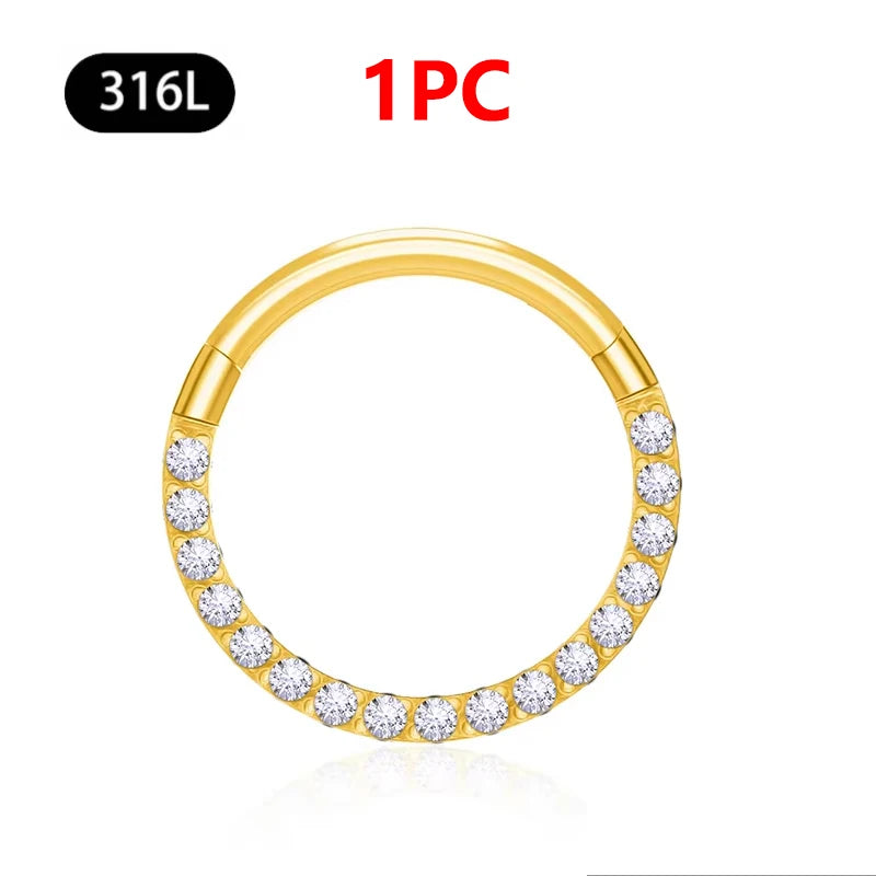 1/10Pc Stainless Steel Nose Ring CZ 16G Hinged Septum Clicker Segment Ear Tragus Cartilage Daith Lip Nose Body Piercing Jewelry 1Pc Gold Zircon 1
