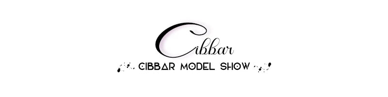 CIBBAR Street Style Fishnet Holes T Shirt See Through Hollow Out Hooded Full Sleeve Crop Top Women Casual Loose Shirt Smock Fall