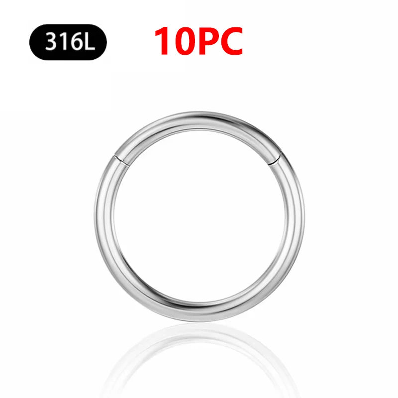 1/10Pc Stainless Steel Nose Ring CZ 16G Hinged Septum Clicker Segment Ear Tragus Cartilage Daith Lip Nose Body Piercing Jewelry 10Pc Silver
