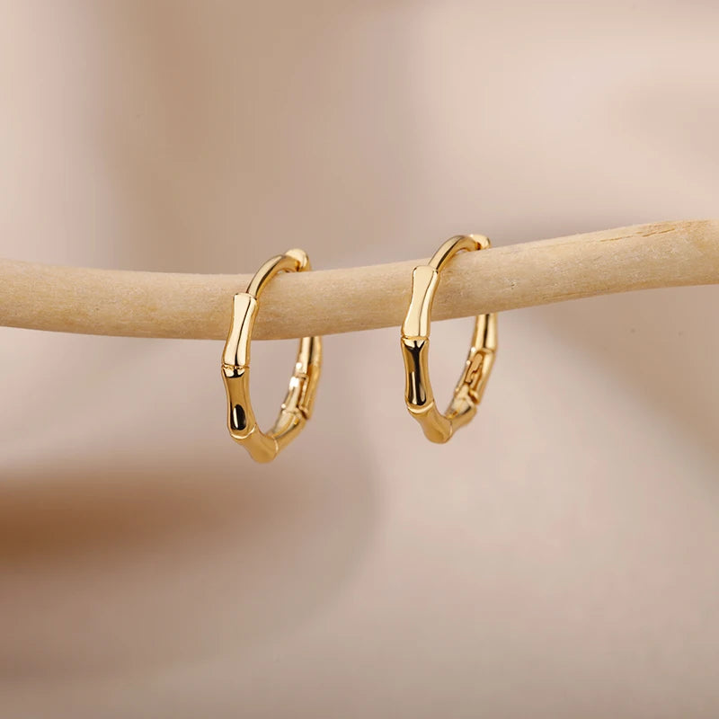 Luxury Star Pendientes Earrings For Women Girl Stainless Steel Minimalist Hoop Piercing 2025 New In y2k Jewelry aretes de mujer E2308G-4 CHINA