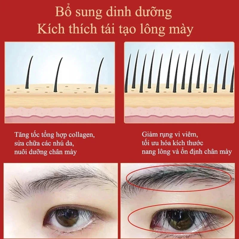 Eyebrow Growth Serum Fast Growing Eyelash Prevent Hair Loss Damaged Treatment Thick Dense Eyes Makeup Care Products 2023