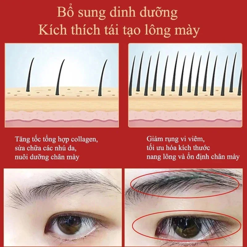 Eyebrow Growth Serum Fast Growing Eyelash Prevent Hair Loss Damaged Treatment Thick Dense Eyes Makeup Care Products 2023