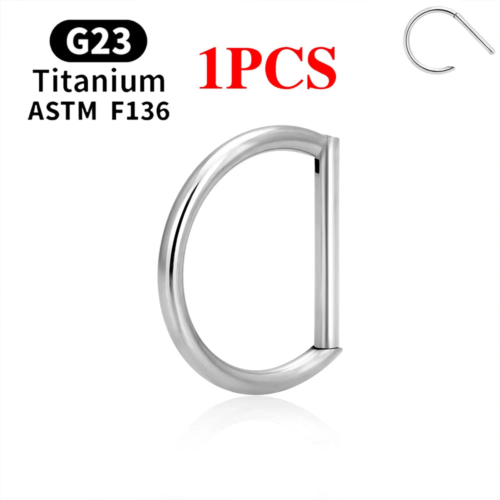 1/10PCS F136 G23 Titanium Piercing Nose Ring D Shape Hinged Segment CZ 16G Clicke Cartilage Tragus Helix Earrings Body Jewelry 1PCS Silver Color CHINA