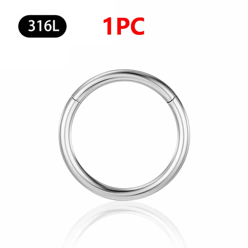 1/10Pc Stainless Steel Nose Ring CZ 16G Hinged Septum Clicker Segment Ear Tragus Cartilage Daith Lip Nose Body Piercing Jewelry 1Pc Silver