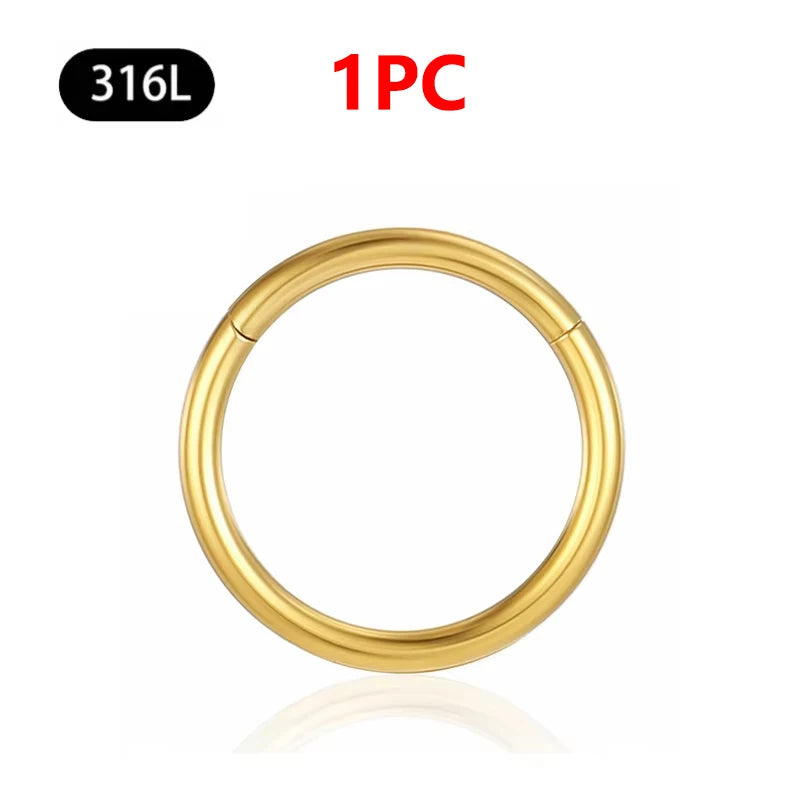 1/10Pc Stainless Steel Nose Ring CZ 16G Hinged Septum Clicker Segment Ear Tragus Cartilage Daith Lip Nose Body Piercing Jewelry 1Pc Gold