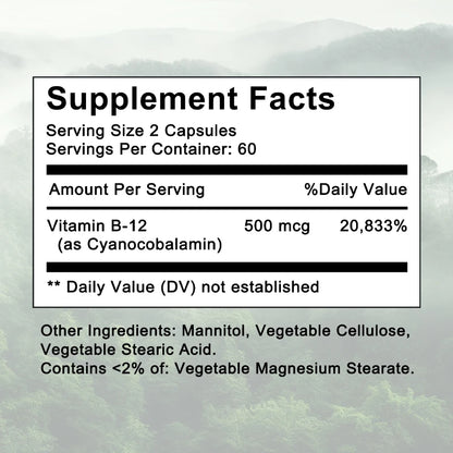 Vitamin B-12 Supplement, Supports Nervous System, Cellular, Metabolic Health, Memory, Concentration, 120 Capsules