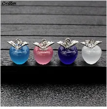 New In Earrings Dried Flower Crystal Dangle Hoop Earrings For Women Stainless Steel Diycharm Long Earring Cute Jewelry Wholesale