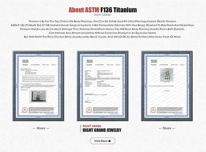 Right Grand ASTM F136 Titanium Hinged Hoop Nose Rings 20G 18G 16G Septum Ring Body Piercing Jewelry Helix Cartilage Rook Earring