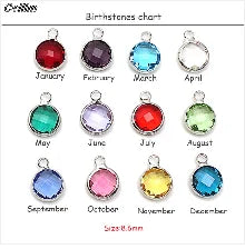 New In Earrings Dried Flower Crystal Dangle Hoop Earrings For Women Stainless Steel Diycharm Long Earring Cute Jewelry Wholesale
