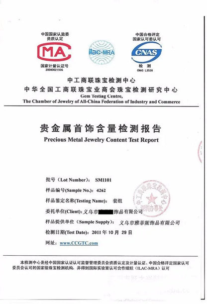 Crystal Zircon Real 925 Sterling Silver Earrings Channel Cubic Zirconia Silver Stud Earrings for Women Sterling Silver Jewelry