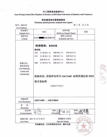 Crystal Zircon Real 925 Sterling Silver Earrings Channel Cubic Zirconia Silver Stud Earrings for Women Sterling Silver Jewelry