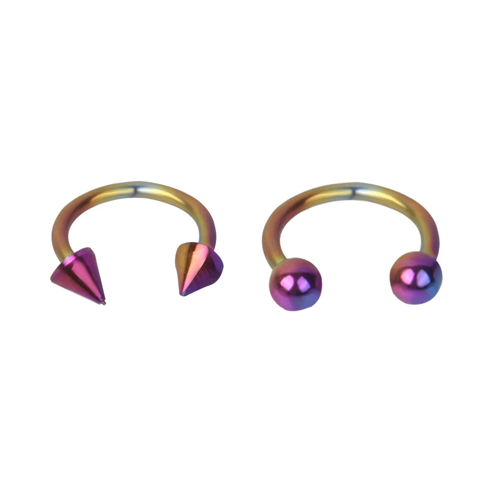 2pcs Stainless Steel Nose Hoop Ring Septum Rings Lip Studs Nostril Earrings Circular Tragus Ear Piercing Horseshoe Body Jewelry Badiee Stylez