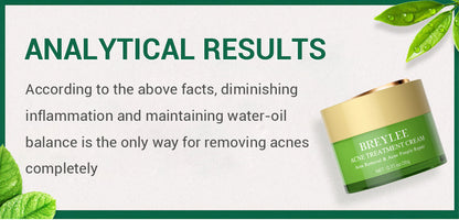 BREYLEE Facial Cleanser Toner Essence Face Cream Gel Facial Mask Set