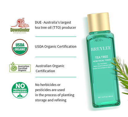 BREYLEE Facial Cleanser Toner Essence Face Cream Gel Facial Mask Set