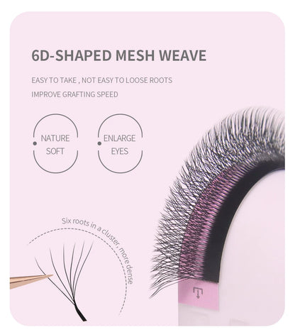 ANNAFRIS W Shape 6D Volume Eyelash Extension False Mink Soft Natural Premade Fans Lash 6D W Shaped Easy Faning Eyelashes