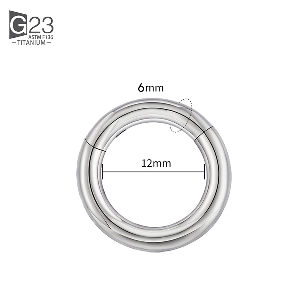 ASTM F136 Titanium PIERC Hinged Segment Hoop Earrings Large size Nose Rings 10G-6G 2.5mm-4mm Seamless Labret Lip Body Piercing 6.0x12mm