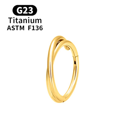 F136 G23 Titanium Nose Ring 16G Hinged Segment CZ Septum Clicke Daith Earrings Hoops Ear Cartilage Tragus Helix Piercing Jewelry Gold Color 1 CHINA