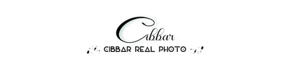 CIBBAR Street Style Fishnet Holes T Shirt See Through Hollow Out Hooded Full Sleeve Crop Top Women Casual Loose Shirt Smock Fall