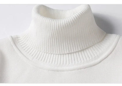 Autumn Winter Casual Fleece Thickened Warm Sweater Women's Turtleneck Solid Sweater Knitting Pullovers Rollneck Slim Fit Top Badiee Stylez