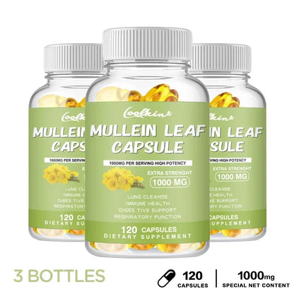 Mullein Leaf - Clear Lungs and Detoxify, Breathe Healthily, Relieve Headaches Supplement 120 Capsule-3bottles