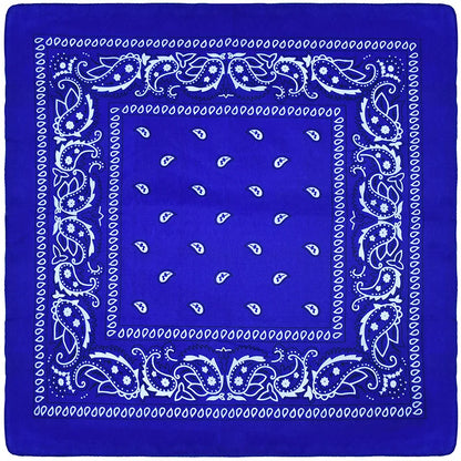 Outdoor Cycling 53cm Cotton Square Scarf Women Men Paisley Print HipHop Bandanas Scarves Headband Handkerchief Hair Mask Badiee Stylez
