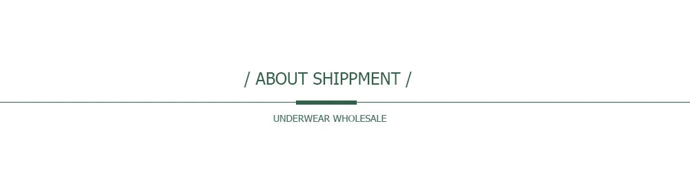 5 PCS/Set Mesh Briefs M-2XL Lace Panties Sexy Transparent Underwear Low Rise Panties Girls Intimates Lingeri Badiee Stylez