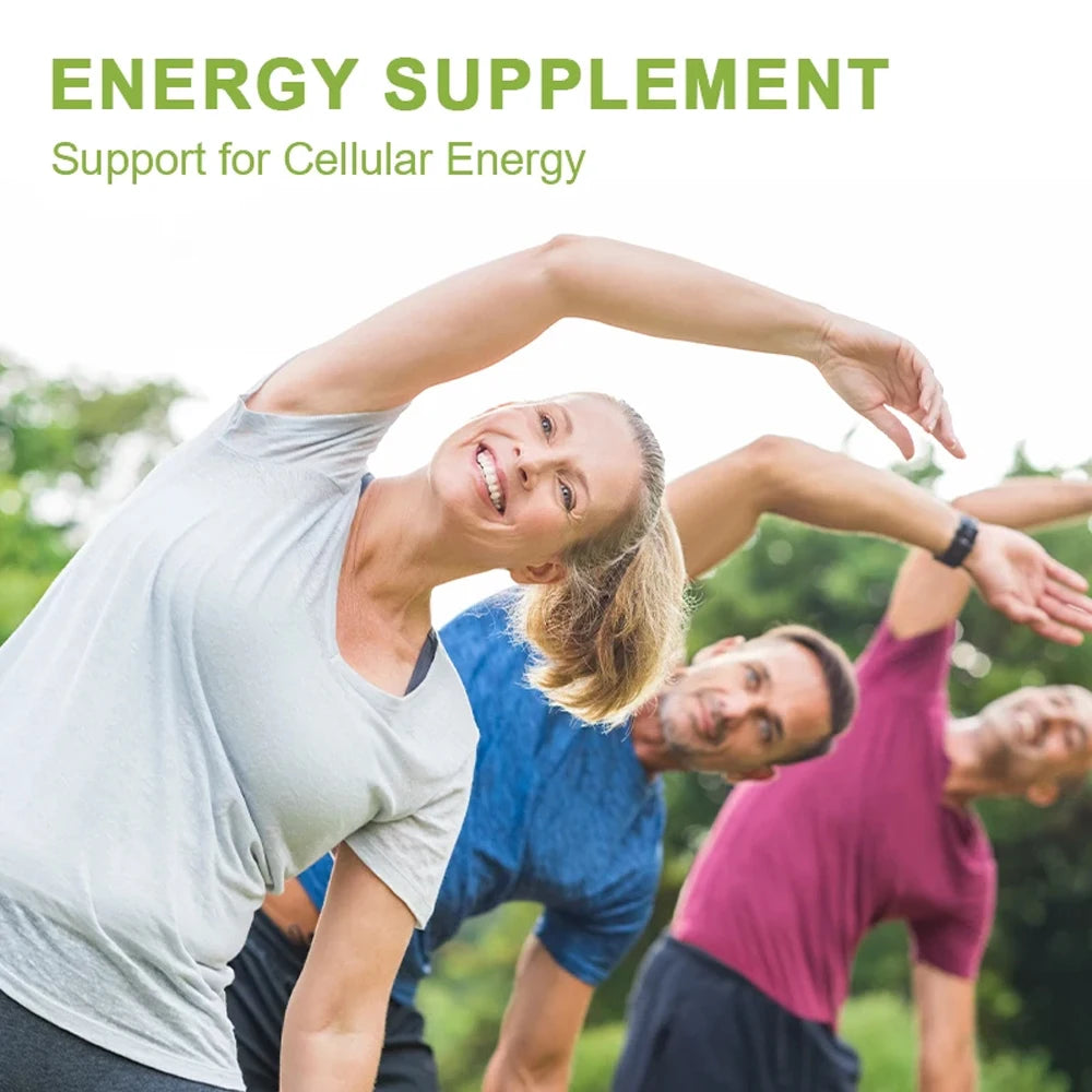 Vitamin B Complex - Contains Biotin, Inositol and Choline - Brain, Skin, Hair, Nervous System, Immunity, Metabolism, Antioxidant