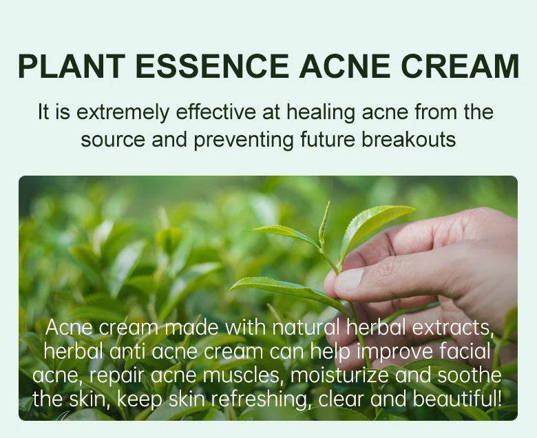 Herbal Acne Face Cream Pimple Marks Removal Oil Control Moisturizing Pockmark Smooth Facial Creams Skin Care Products JoyPretty