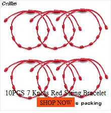 New In Earrings Dried Flower Crystal Dangle Hoop Earrings For Women Stainless Steel Diycharm Long Earring Cute Jewelry Wholesale