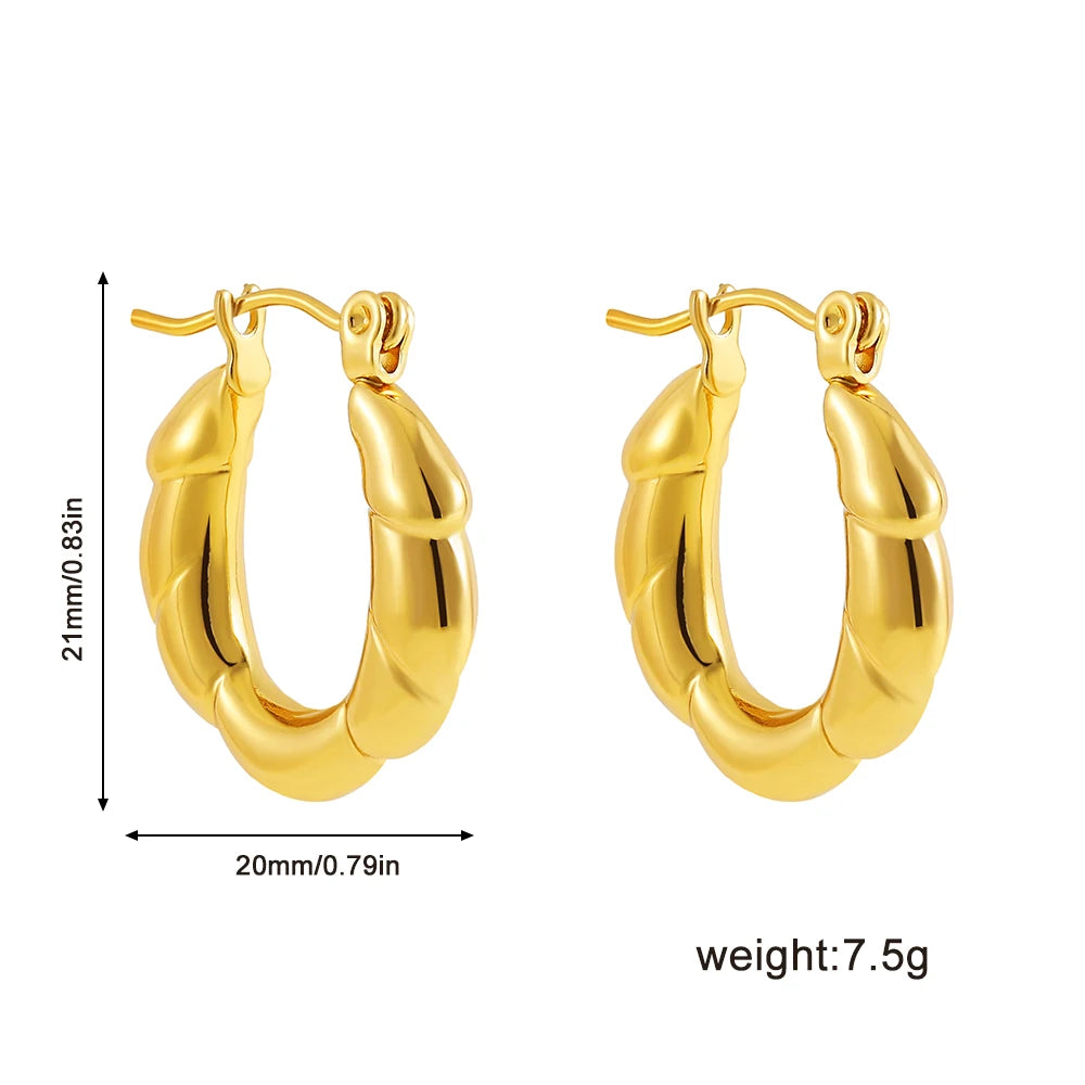 Fashion Glossy Stainless Steel Chunky Hoop Earrings for Women Gold Plated Thick Texture Geometric Circle Earring Vintage Jewelry