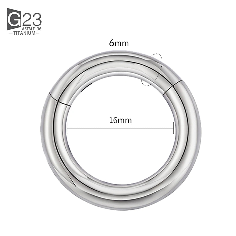 ASTM F136 Titanium PIERC Hinged Segment Hoop Earrings Large size Nose Rings 10G-6G 2.5mm-4mm Seamless Labret Lip Body Piercing 6.0x16mm