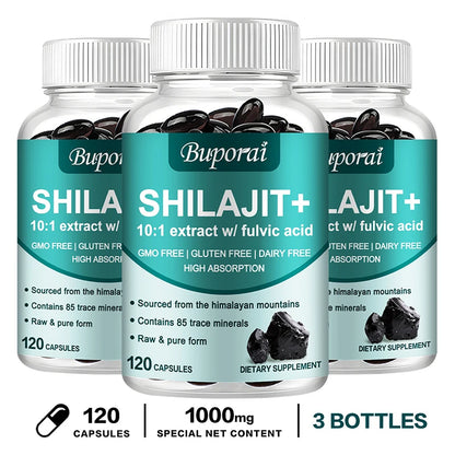 Shilajit - Brain, Focus, Memory and Immune Health, Reduce Fatigue and Improve Endurance 120 Capsule-3bottles