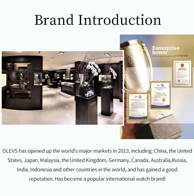 OLEVS Original Diamond Dial Quartz Watch for Women Fashion Elegant Ladies Watches Stainless Steel Waterproof Women's Wristwatch