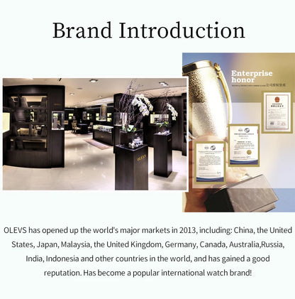 OLEVS Original Diamond Dial Quartz Watch for Women Fashion Elegant Ladies Watches Stainless Steel Waterproof Women's Wristwatch