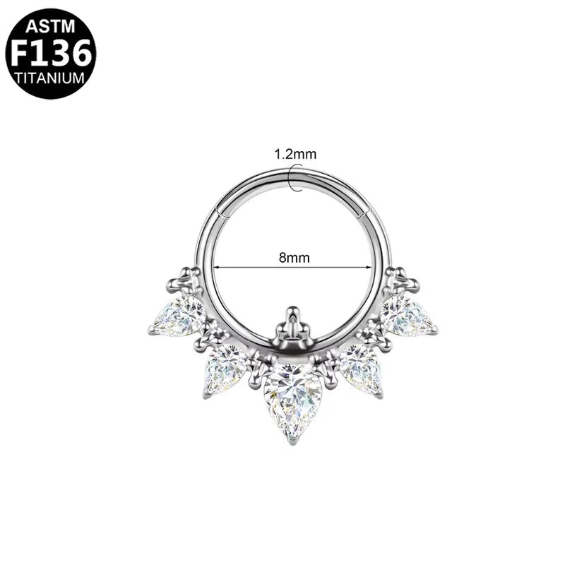 F136 Titanium Nose Ring for Men and Women 16G 8mm Hoop Septum Nose Piercing Jewelry Cartilage Earrings CZ Body Jewelry G23