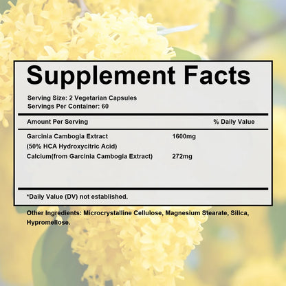 100% Pure Garcinia Cambogia 1600 mg Supplement - HCA Extract, Fast Absorbing, Carb Blocker Metabolism, 120 Capsules