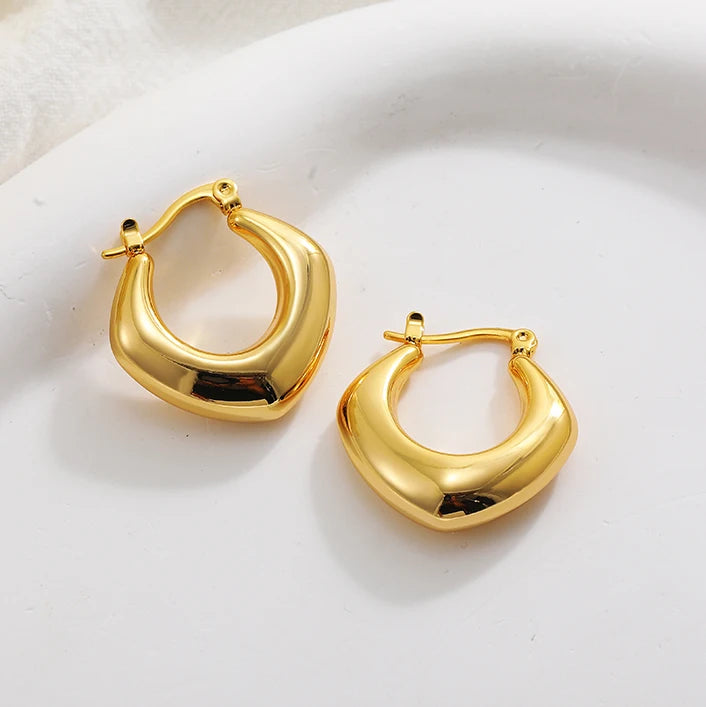 Fashion Glossy Stainless Steel Chunky Hoop Earrings for Women Gold Plated Thick Texture Geometric Circle Earring Vintage Jewelry 22480 5