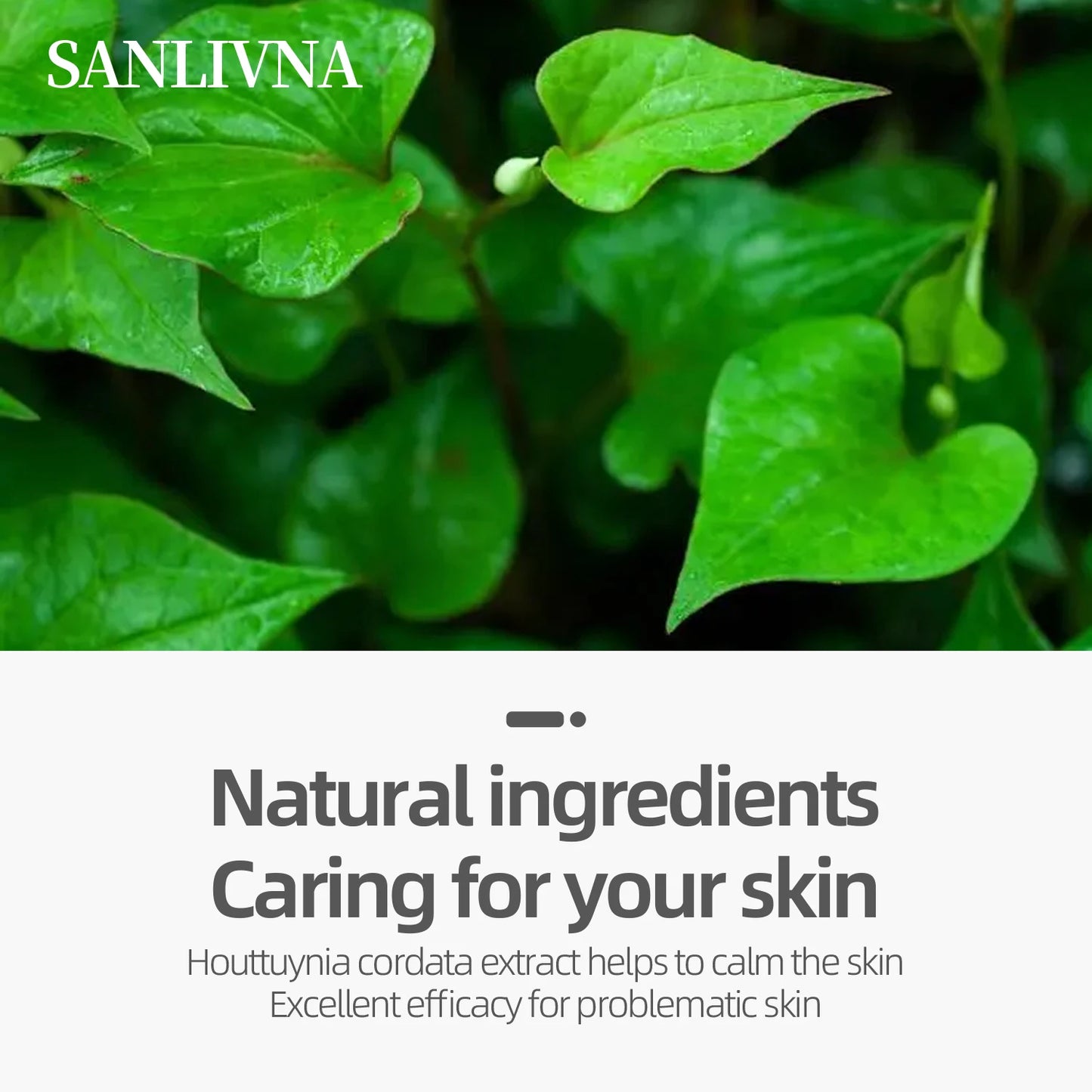 Heartleaf 77 Toning Pads, Moisturizing Pore Care, for Face Hydration Heartleaf Extract Moisturizing Centella Asiatica 160ML