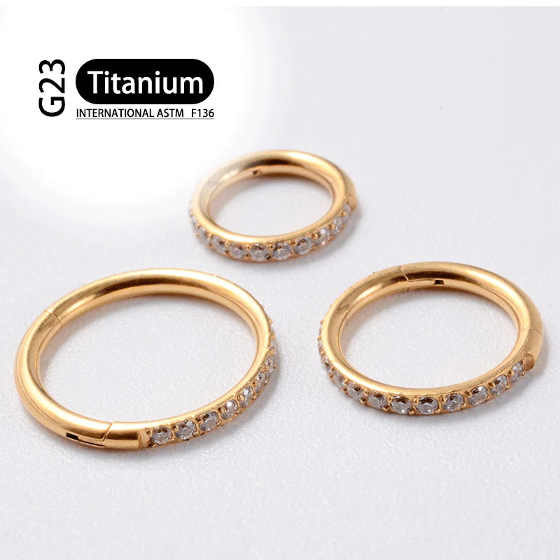 G23 Titanium Earrings Hoop Round Tragus Cartilage Helix Daith Lip Hinged Clicker Segment Ear Nose Ring Body Piercing Jewelry Badiee Stylez