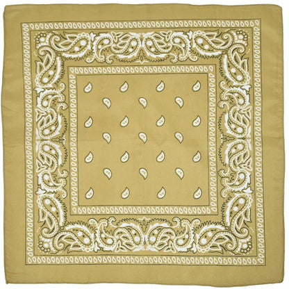 Outdoor Cycling 53cm Cotton Square Scarf Women Men Paisley Print HipHop Bandanas Scarves Headband Handkerchief Hair Mask Badiee Stylez