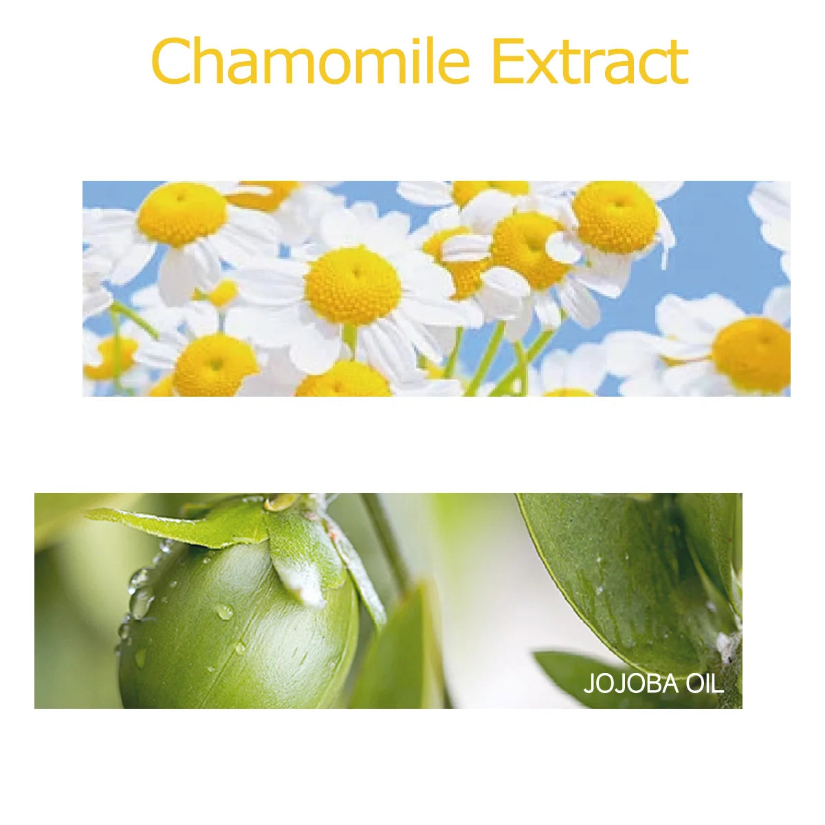 30ml/60ml/100ml chamomile essential oil is suitable for facial hydration, moisturizing, hair care, skin care, and perfume making - Badiee Stylez