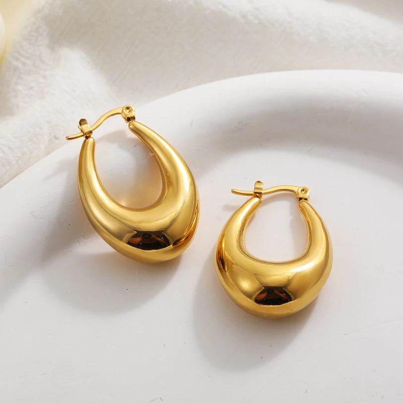 Fashion Glossy Stainless Steel Chunky Hoop Earrings for Women Gold Plated Thick Texture Geometric Circle Earring Vintage Jewelry 22480 3