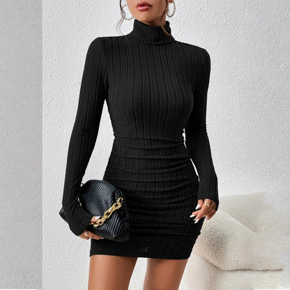 Knitted Bottoming Dress Women Elegant Party Autumn Winter Turtleneck Long Sleeves Sexy Sheath Mini Dresses Bodycon Club Dress Badiee Stylez