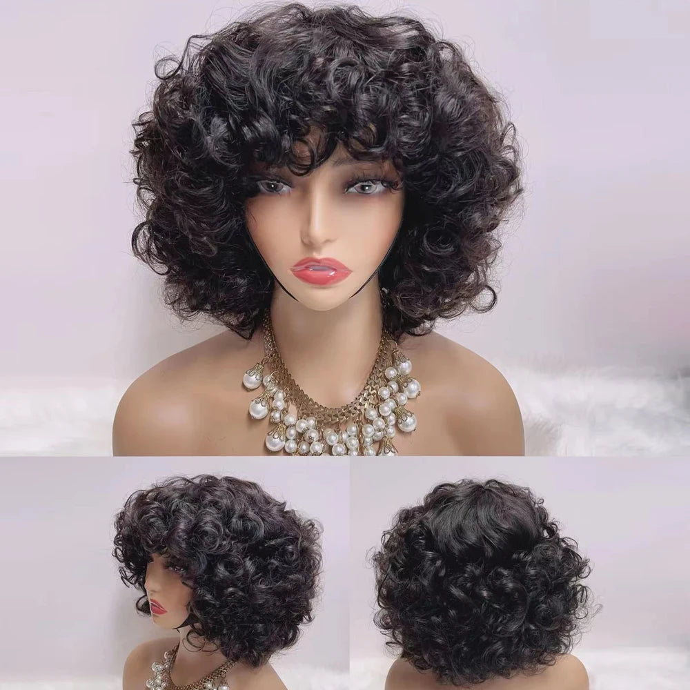 300% Pixie Cut Human Hair Wigs For Women Afro Rose Curly Funmi Glueless Wigs Human Hair Short Bouncy Curly Bob Wig With Bangs Badiee Stylez