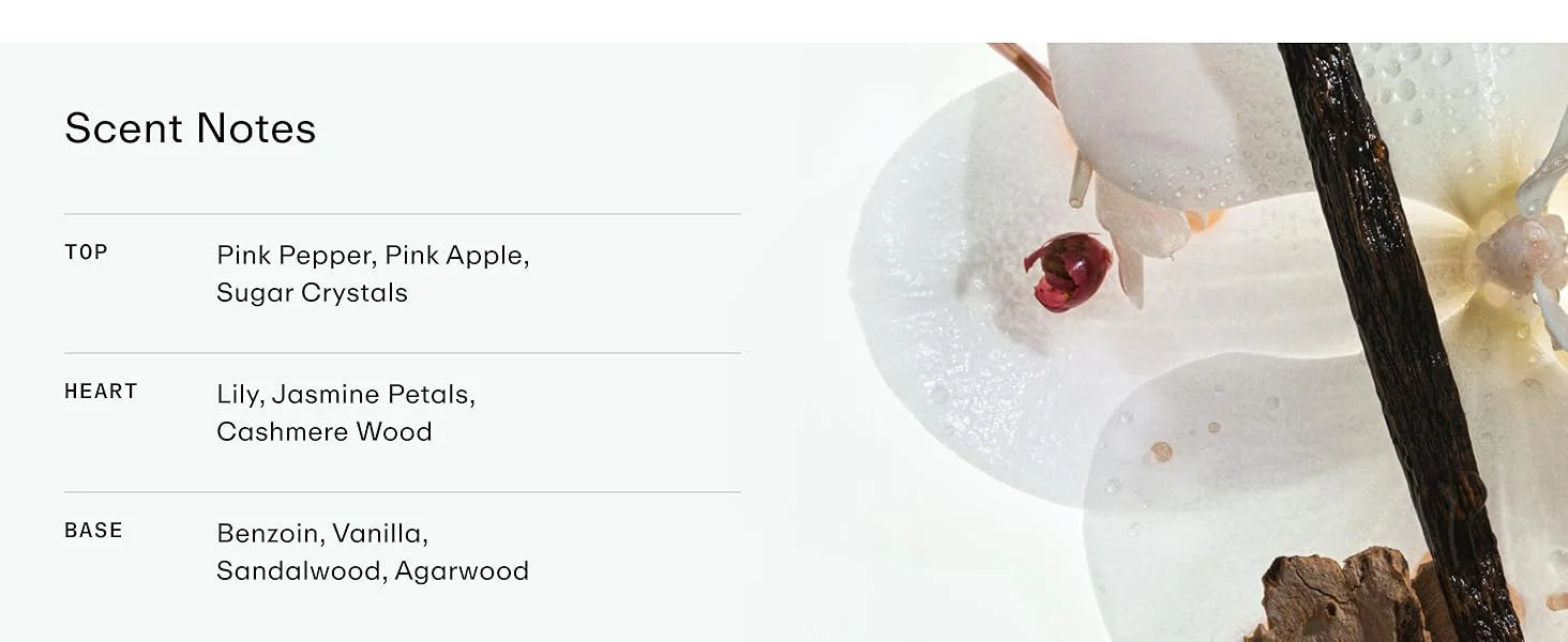 8 Fl.oz Original Unisex Eau De Parfum Elegant Refreshing Luxury Body Spray Natural Fruity Long Lasting Fragrances Excellent Gift - Badiee Stylez